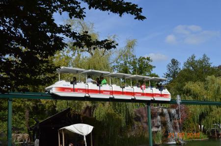 Bild zu 