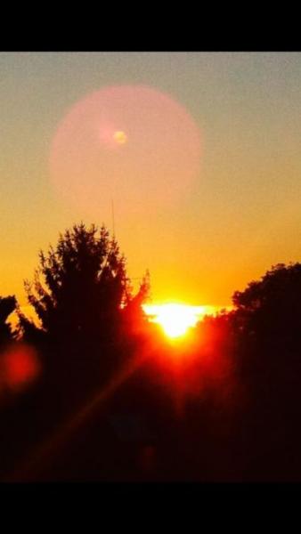 Bild zu Wenn jemand die Sonne sucht ? - Baby Forum - Allgemeine Themen