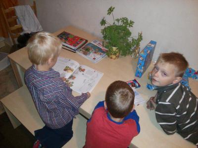 Bild zu Bei mehreren Kindern haben immer "alle" Geburtstag - Baby Forum - Allgemeine Themen