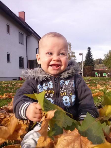 Bild zu 