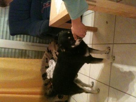Bild zu 