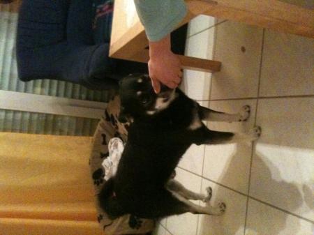 Bild zu 