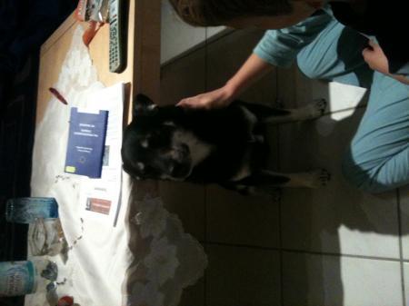 Bild zu 