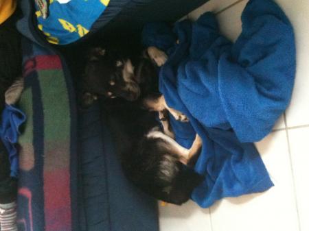 Bild zu 