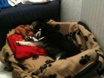 Bild zu von gestern abend :) - Baby Forum - Allgemeine Themen