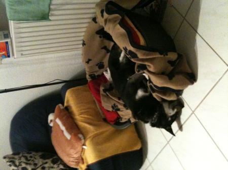 Bild zu 