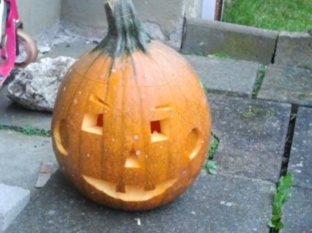 Bild zu 