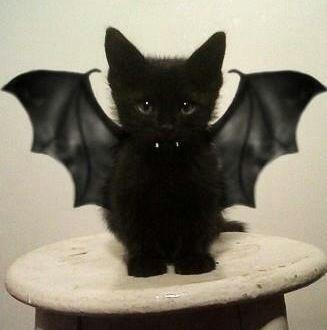 Bild zu ui..... guckt mal.... - Baby Forum - Allgemeine Themen