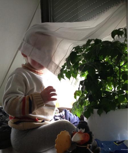 Bild zu 