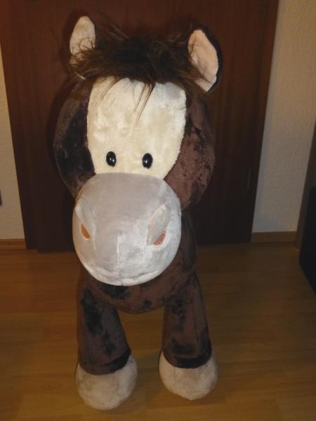 Bild zu