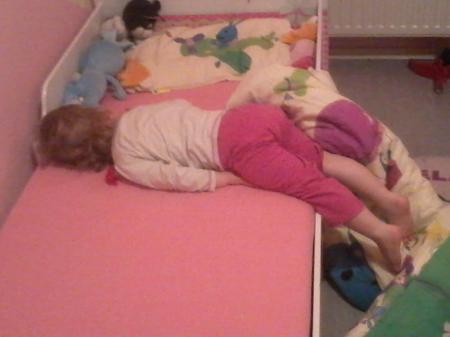 Bild zu
