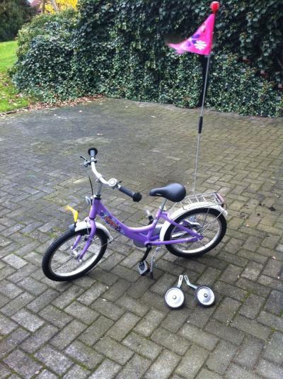 Bild zu Was würdet ihr für dieses Fahrrad ausgeben? Puky - Baby Forum - Allgemeine Themen