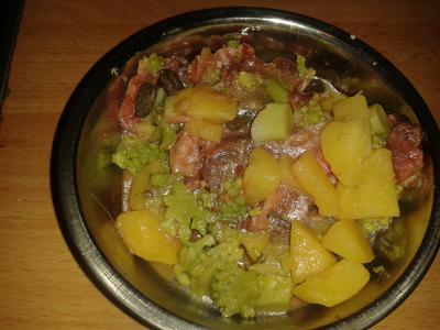 Bild zu Hundefrühstück - Baby Forum - Allgemeine Themen