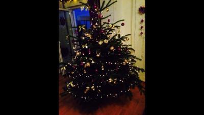 Bild zu So........er steht....;-))))) - Baby Forum - Allgemeine Themen