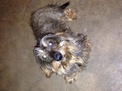 Bild zu So jetzt ist es amtlich - Baby Forum - Allgemeine Themen