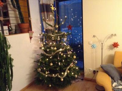 Bild zu So, der Baum steht! - Baby Forum - Allgemeine Themen