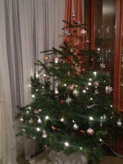 Bild zu soeben vollendet.... und jasmin ist beleidigt :/ - Baby Forum - Allgemeine Themen