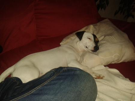 Bild zu 