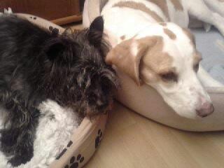 Bild zu 