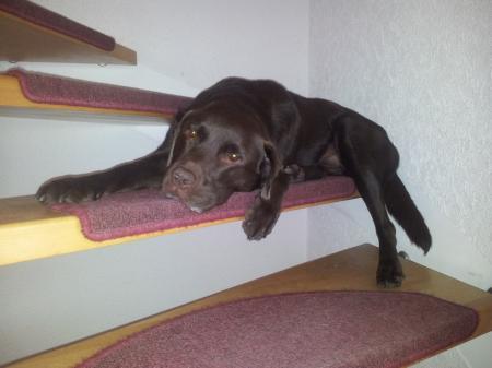 Bild zu 