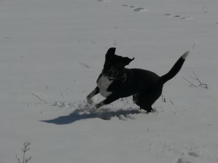 Bild zu 