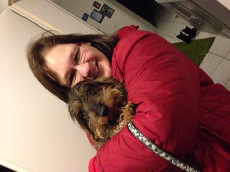 Bild zu