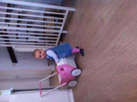 Bild zu 