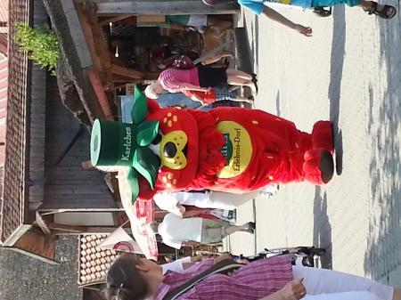 Bild zu 