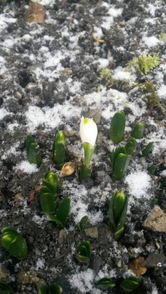 Bild zu Schaut mal... - Baby Forum - Allgemeine Themen