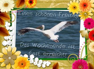 Bild zu Sodele - Baby Forum - Allgemeine Themen