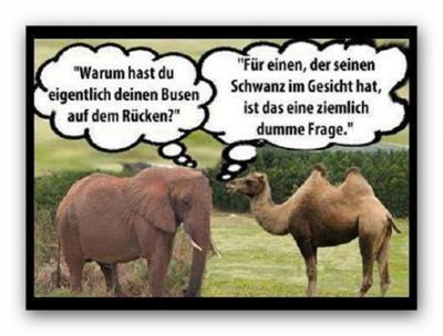 Bild zu hihi - Baby Forum - Allgemeine Themen