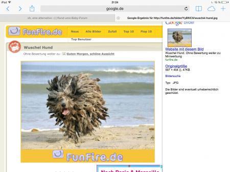 Bild zu