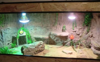 Bild zu Silipo ...zweites Terrarium ist fertig ;) - Baby Forum - Allgemeine Themen