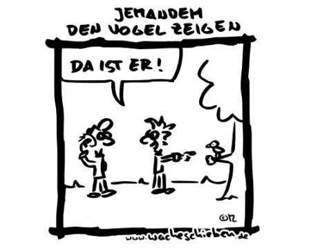 Bild zu 