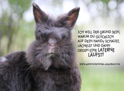 Bild zu Muhahahahaaaaaaaa - Baby Forum - Allgemeine Themen