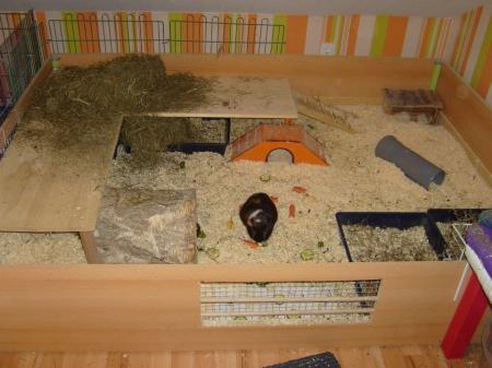 Bild zu 