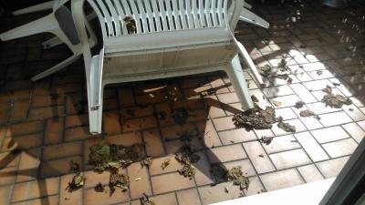 Bild zu Frühling? Wo? Herbst trifft es eher... - Baby Forum - Allgemeine Themen