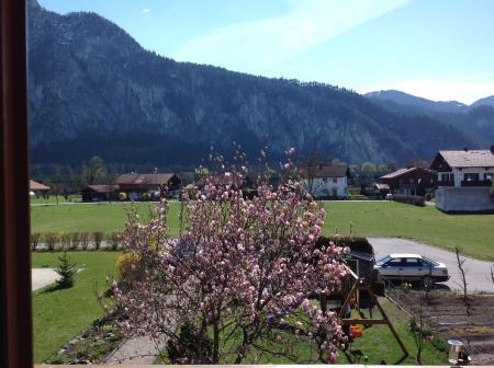 Bild zu 