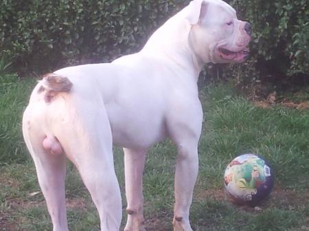 Bild zu 