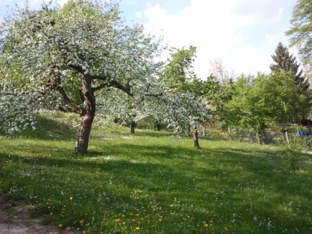 Bild zu 