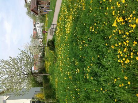 Bild zu 