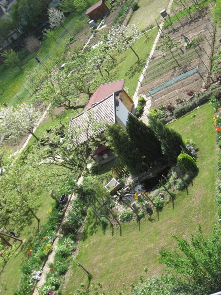 Bild zu 