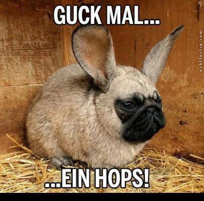 Bild zu :-D - Baby Forum - Allgemeine Themen
