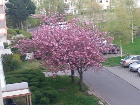 Bild zu 