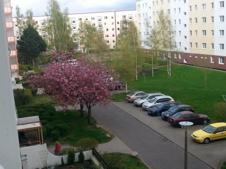 Bild zu 