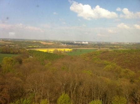 Bild zu 