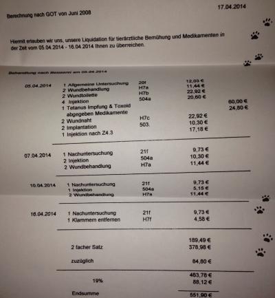 Bild zu Heute kam die Rechnung wegen der beisserei.... - Baby Forum - Allgemeine Themen