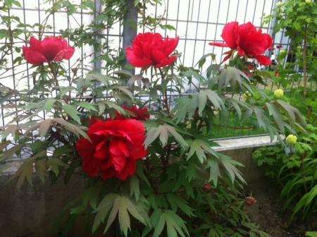 Bild zu 