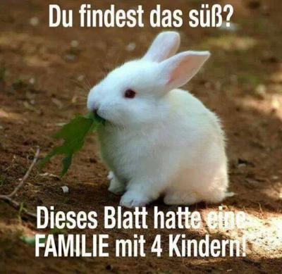 Bild zu Haha... die bösen Vegetarier - Baby Forum - Allgemeine Themen