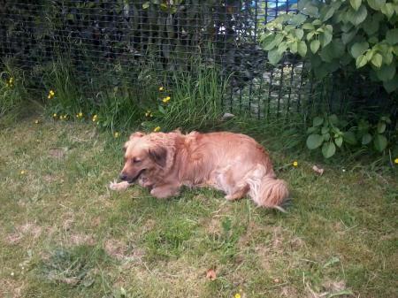 Bild zu